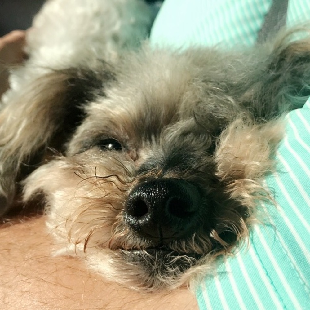 Meet your Posher, Kristan